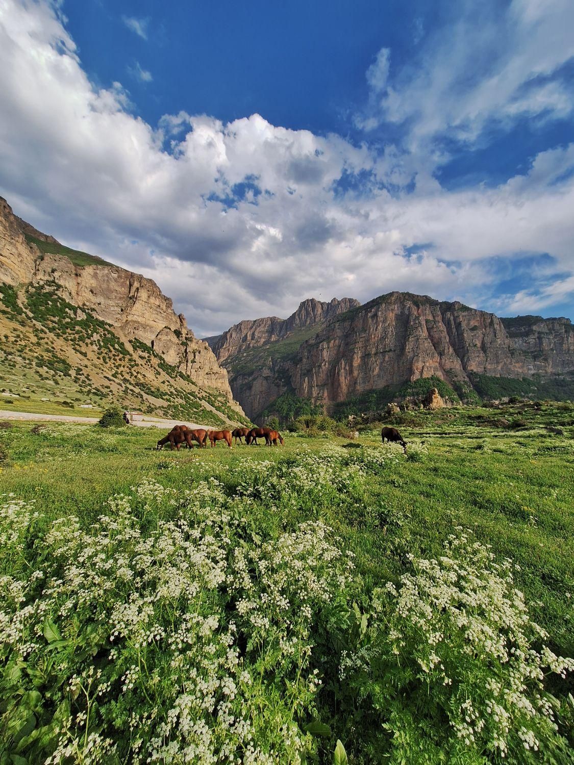 فروش زمین مسکونی در روستای هریجان جاده چالوس|فروش زمین و ملک کلنگی|تهران, لویزان|دیوار