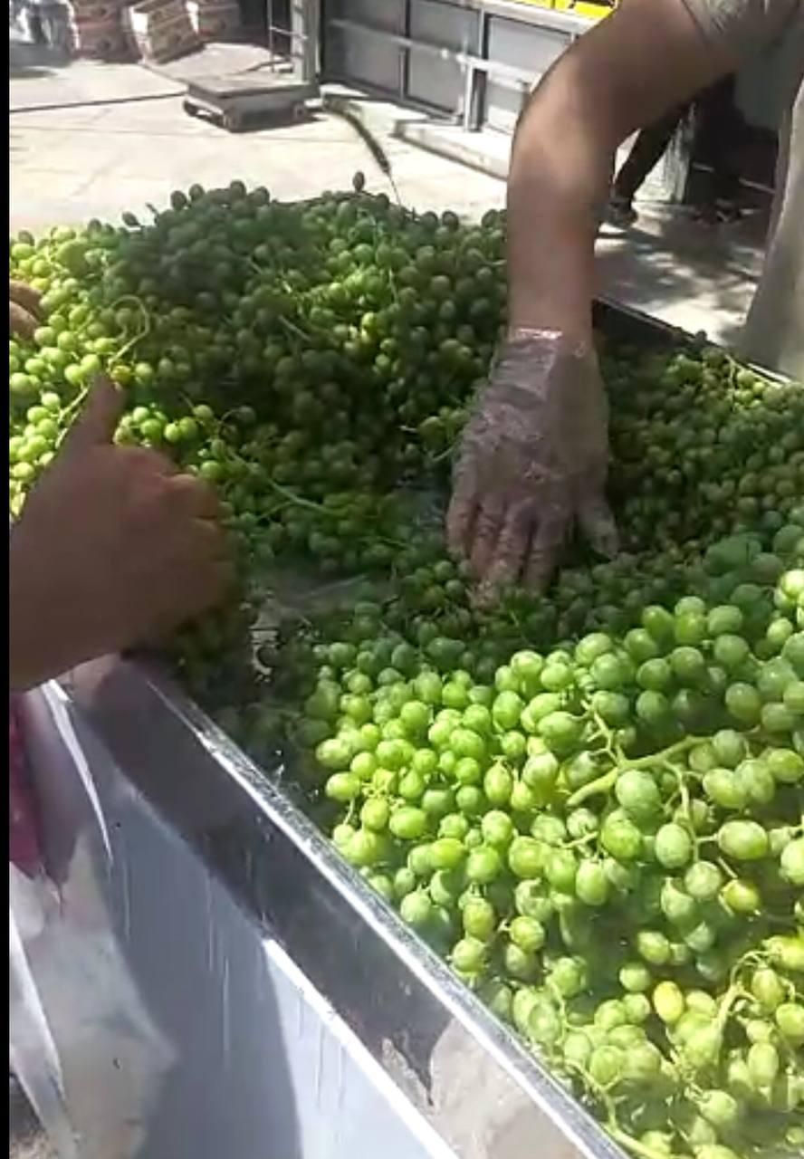 دستگاه بروز آبغوره گیری آبلیمو گیر آب غوره آتی ساز|آبمیوه‌گیر و آب‌مرکبات‌گیر|تهران, تهران‌سر|دیوار