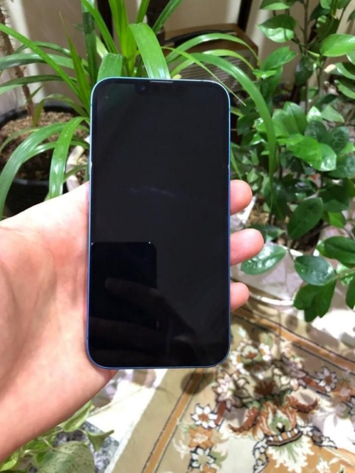 اپل iPhone 13 با حافظهٔ ۱۲۸ گیگابایت|موبایل|تهران, جی|دیوار
