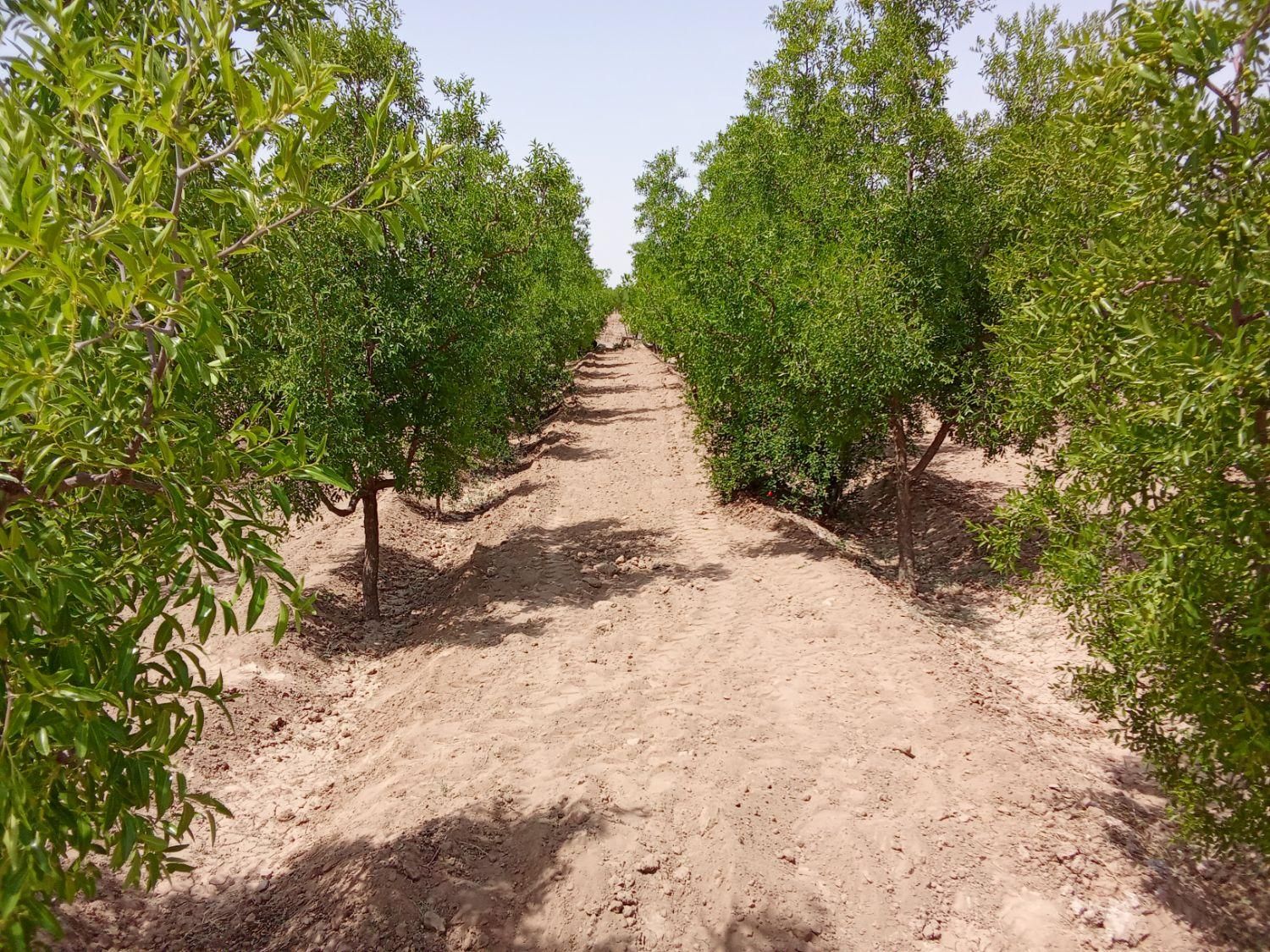تصویر 6
