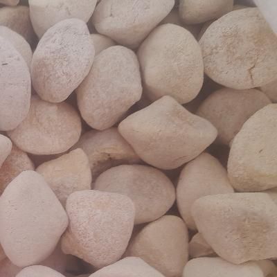 کشک بز|خوردنی و آشامیدنی|اندیمشک, |دیوار