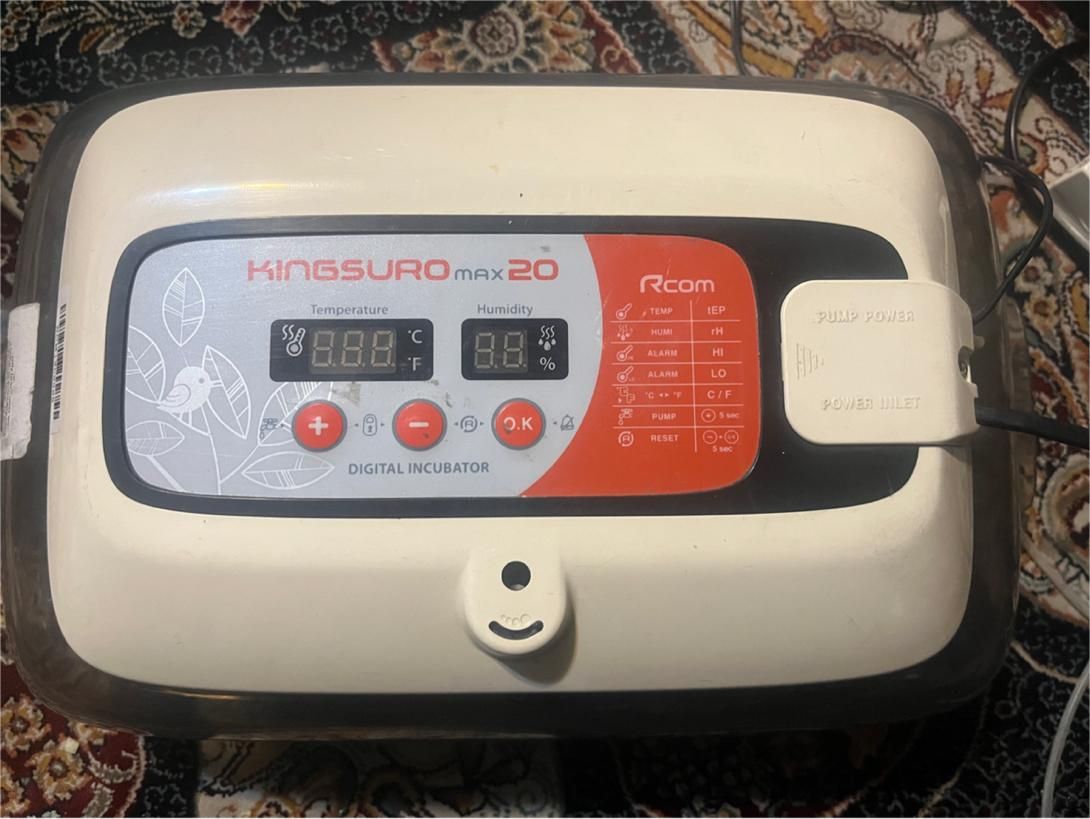 دستگاه جوجه کشی king suro max 20 rcom|لوازم جانبی حیوانات|تهران, طیب|دیوار