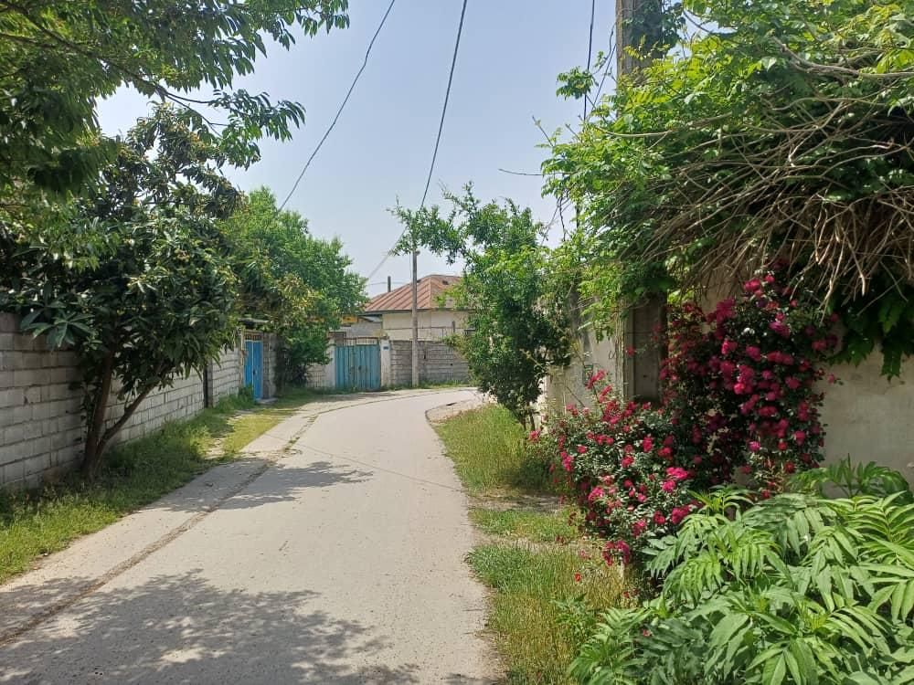 به قیمت ترین ویلای سند دار(شمال محموداباد)|فروش خانه و ویلا|تهران, گرگان|دیوار