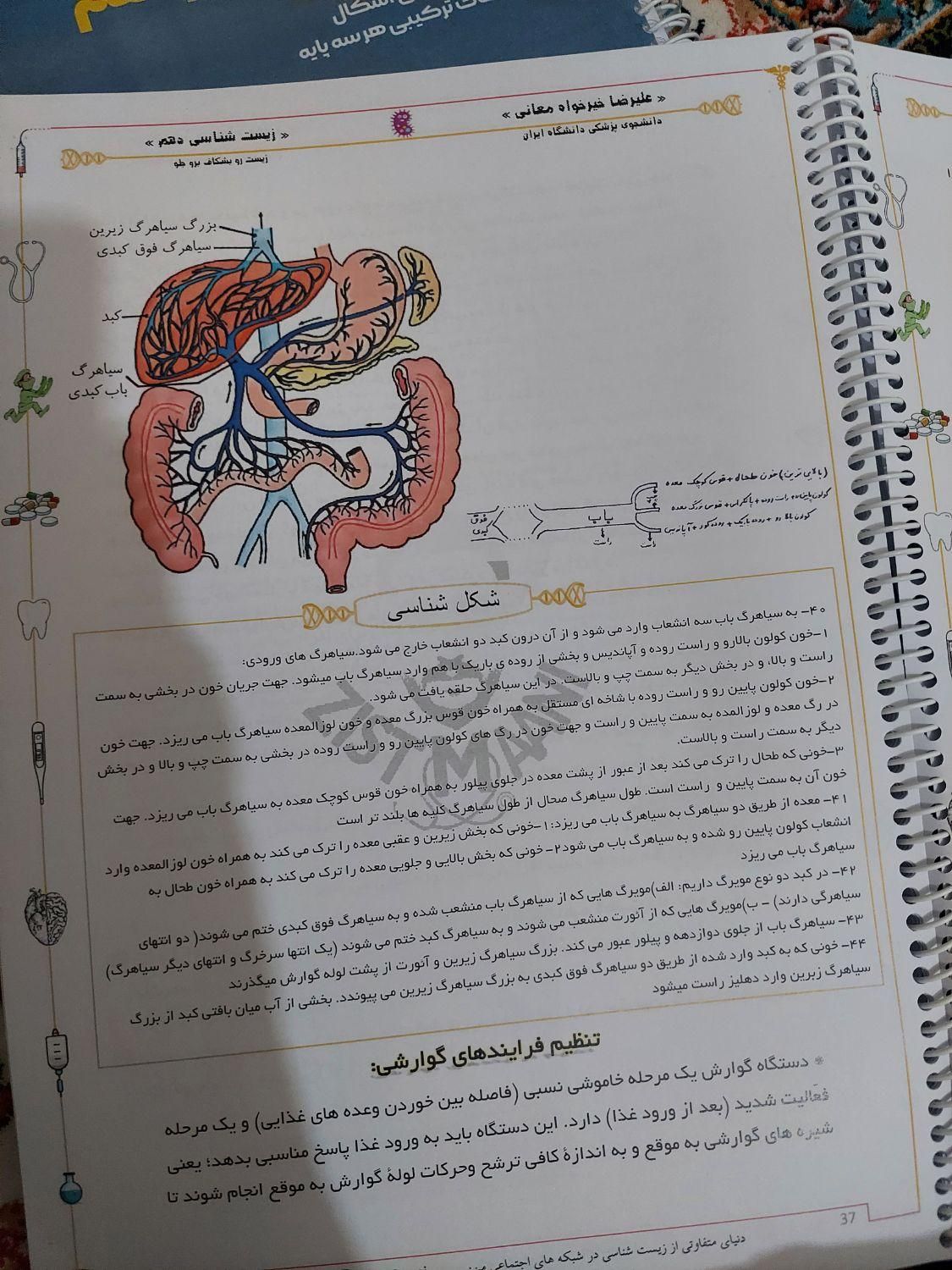 درسنامه زیست هر سه پایه استاد خیرخواه معانی|کتاب و مجله آموزشی|تهران, تهرانپارس شرقی|دیوار