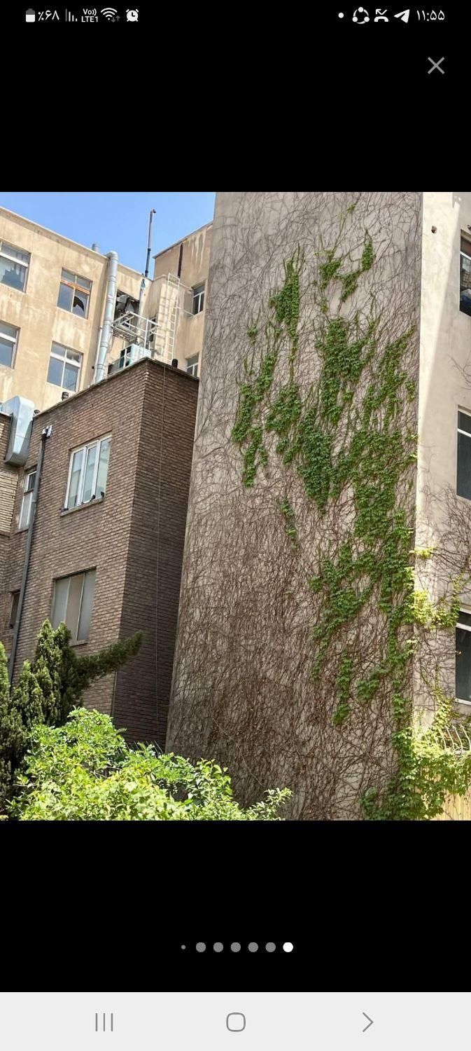 خوابگاه دخترانه سبز هفت تیر|اجارهٔ کوتاه‌مدت آپارتمان و سوئیت|تهران, ایرانشهر|دیوار