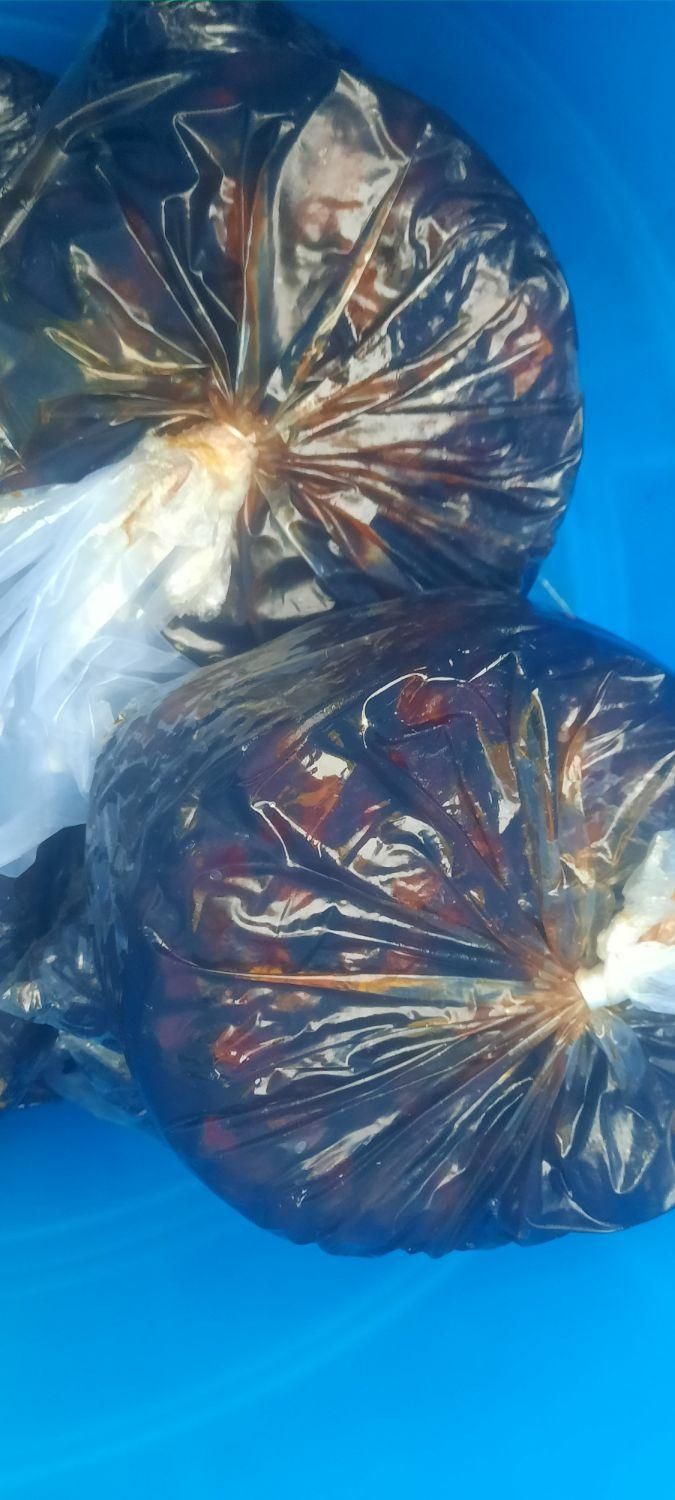 فروش خرما قیمت حراج کیلویی  ۳۵ت|حراج|شادگان, |دیوار