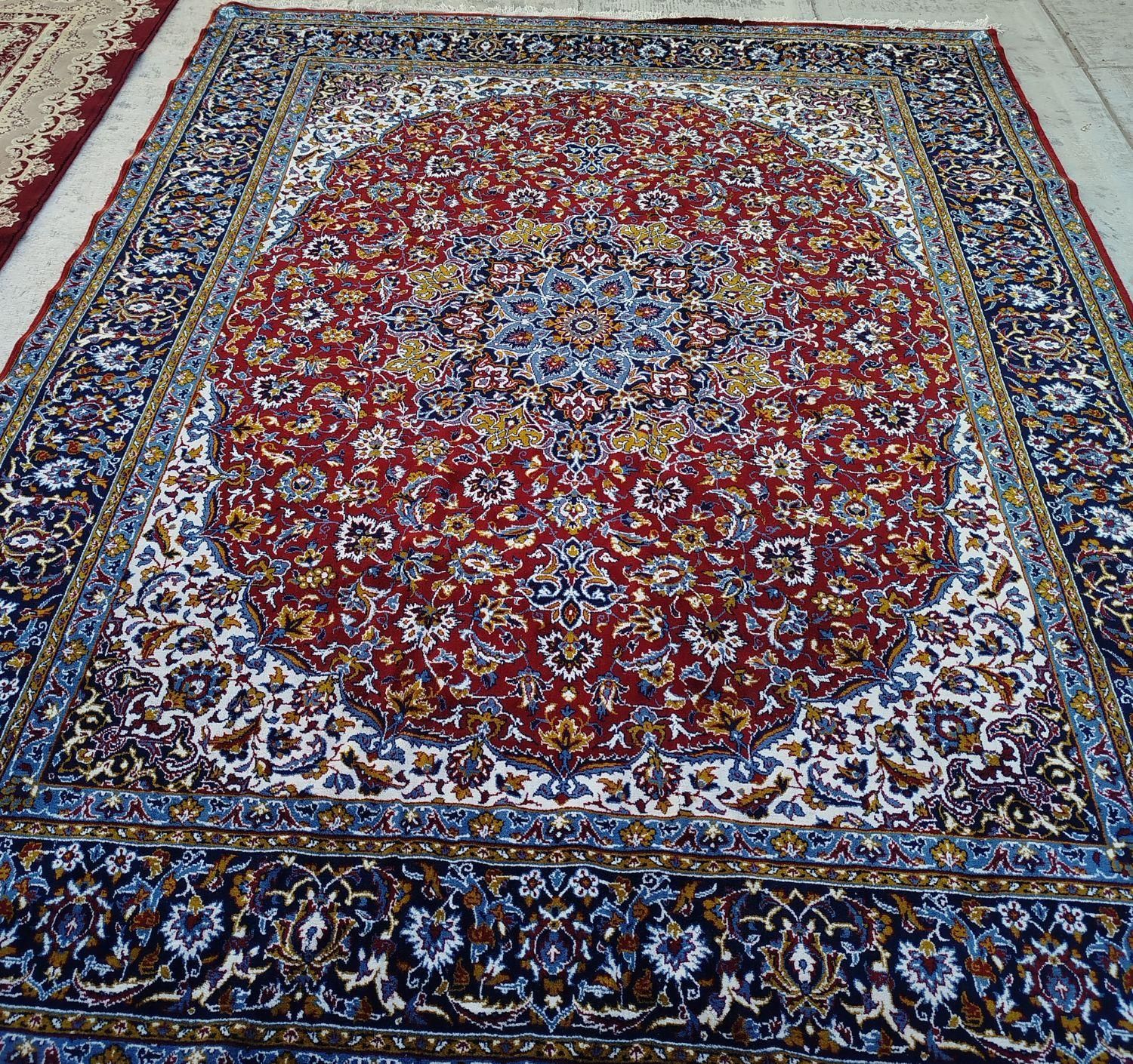 قالی در حد نو|فرش|رفسنجان, |دیوار