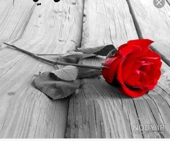 گل برای کادو|گل مصنوعی|تبریز, |دیوار