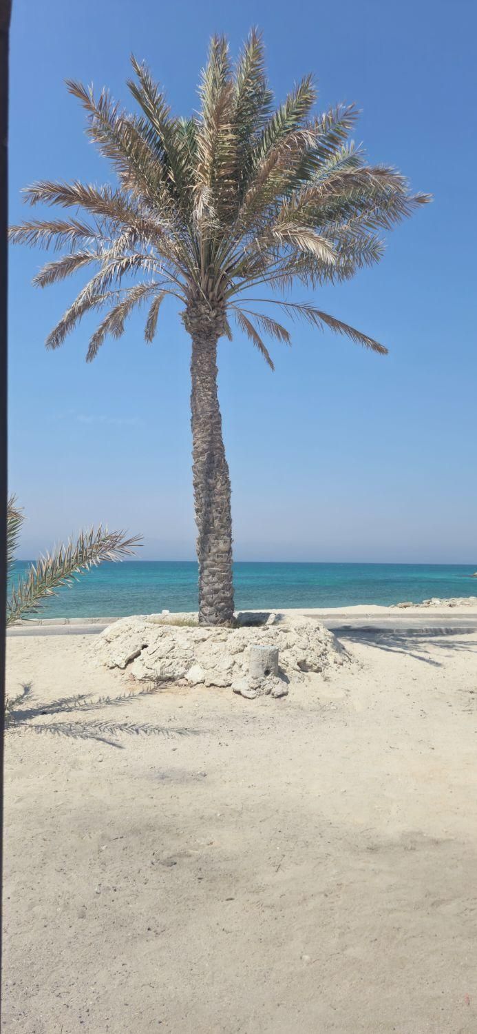 رهن و اجاره دو خواب نوبنیاد ۲|اجارهٔ آپارتمان|کیش, |دیوار