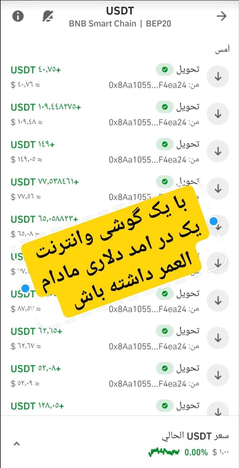 کسب در آمد دلاری از پروژهای بلاکچین|خدمات آموزشی|اهواز, شهرک نفت|دیوار