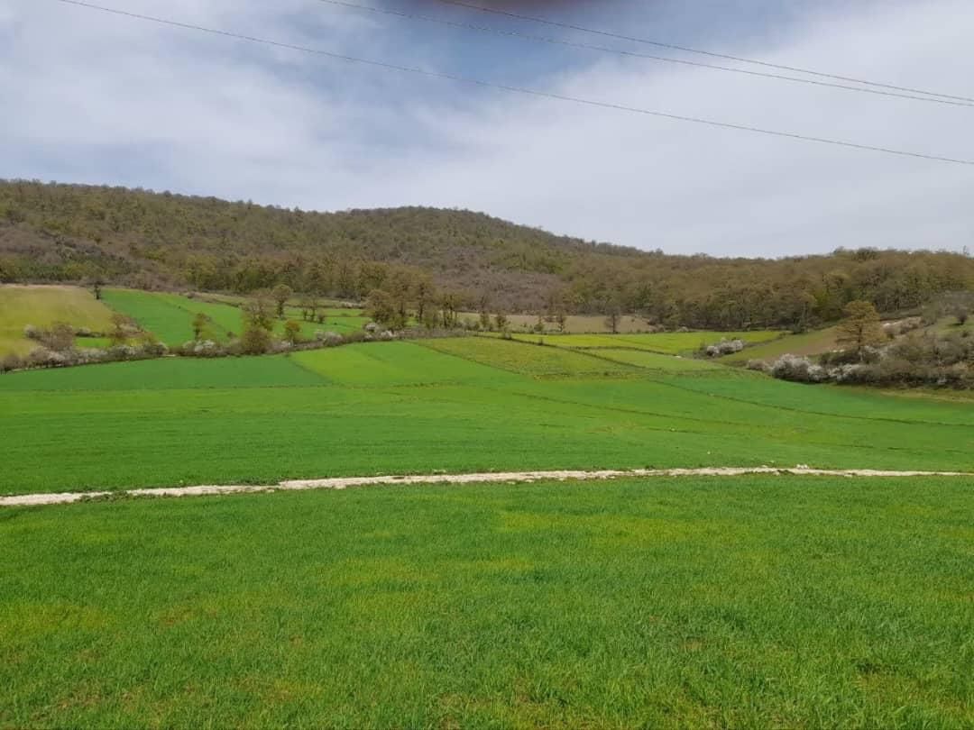 ۳۰۰۰ متر زمین آینده روشن در دل طبیعت|فروش زمین و ملک کلنگی|تهران, جنت‌آباد جنوبی|دیوار