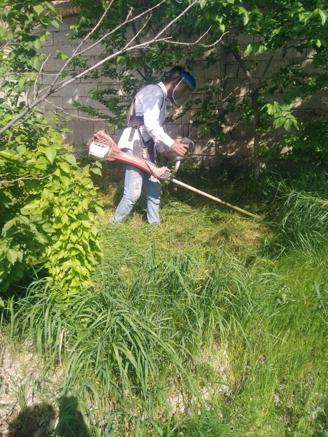 سم پاشی علف زنی شمشادزنی خریدارمیوه شمارویدرخت|خدمات باغبانی و درختکاری|کرج, کمال‌شهر|دیوار