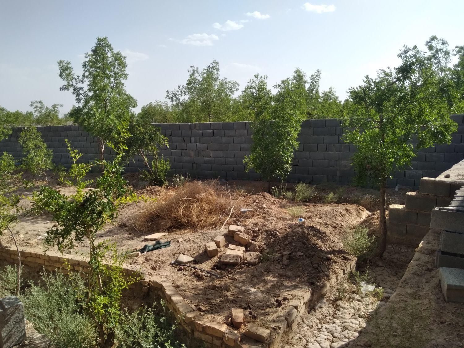 تصویر 11