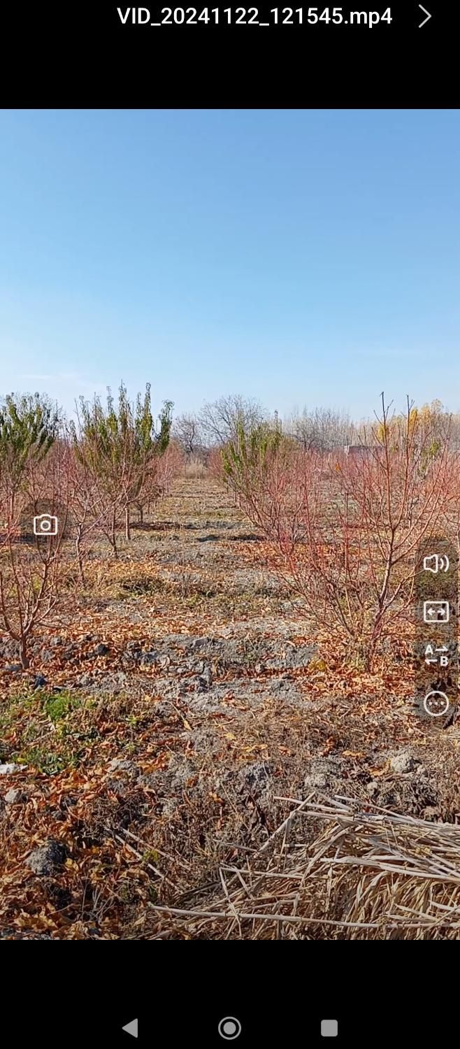 باغ در روستای آده بزرگ|فروش زمین و ملک کلنگی|ارومیه, |دیوار