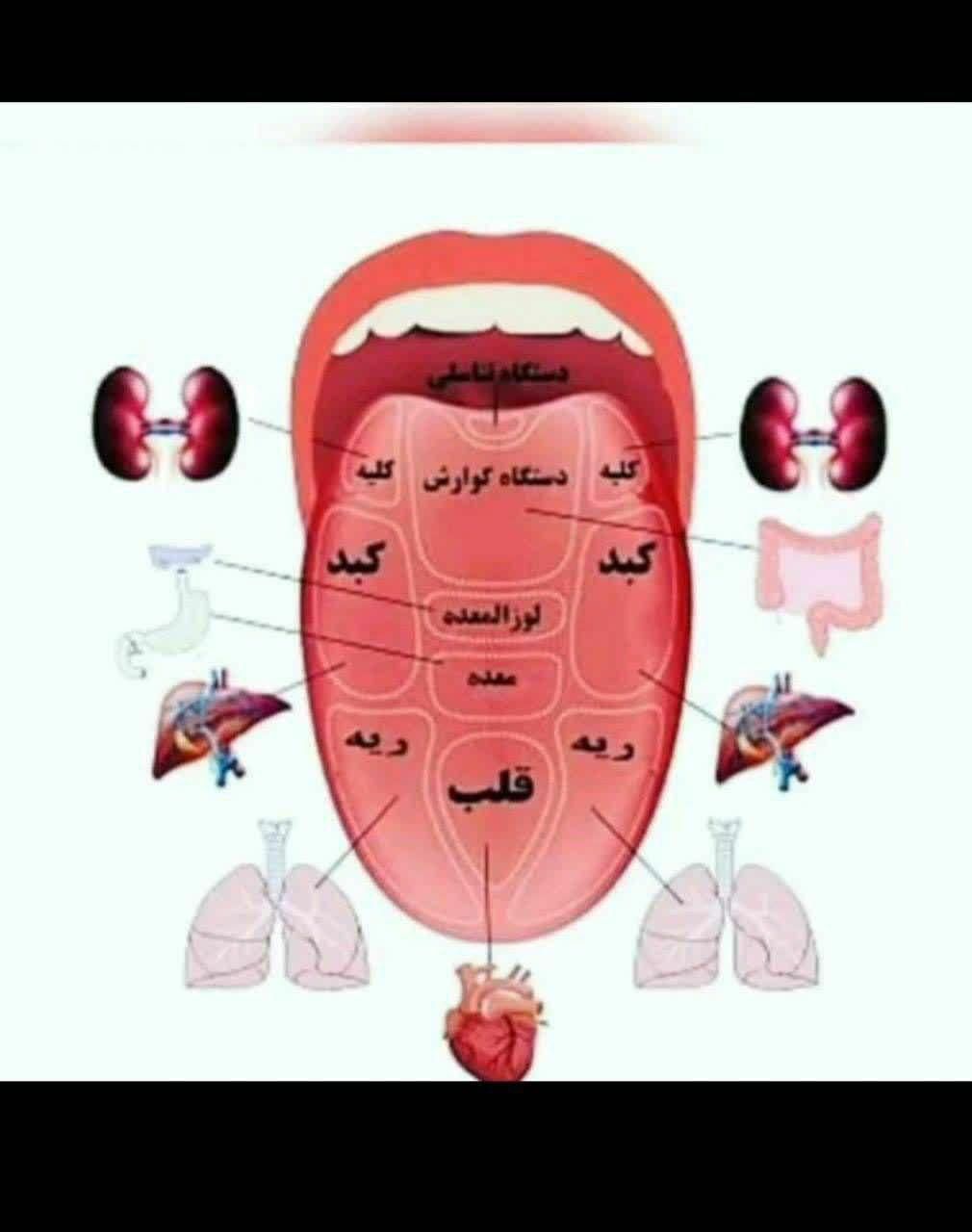 درمان سوزش معده|آرایشی، بهداشتی، درمانی|تهران, شهرک نفت (منطقه ۵)|دیوار