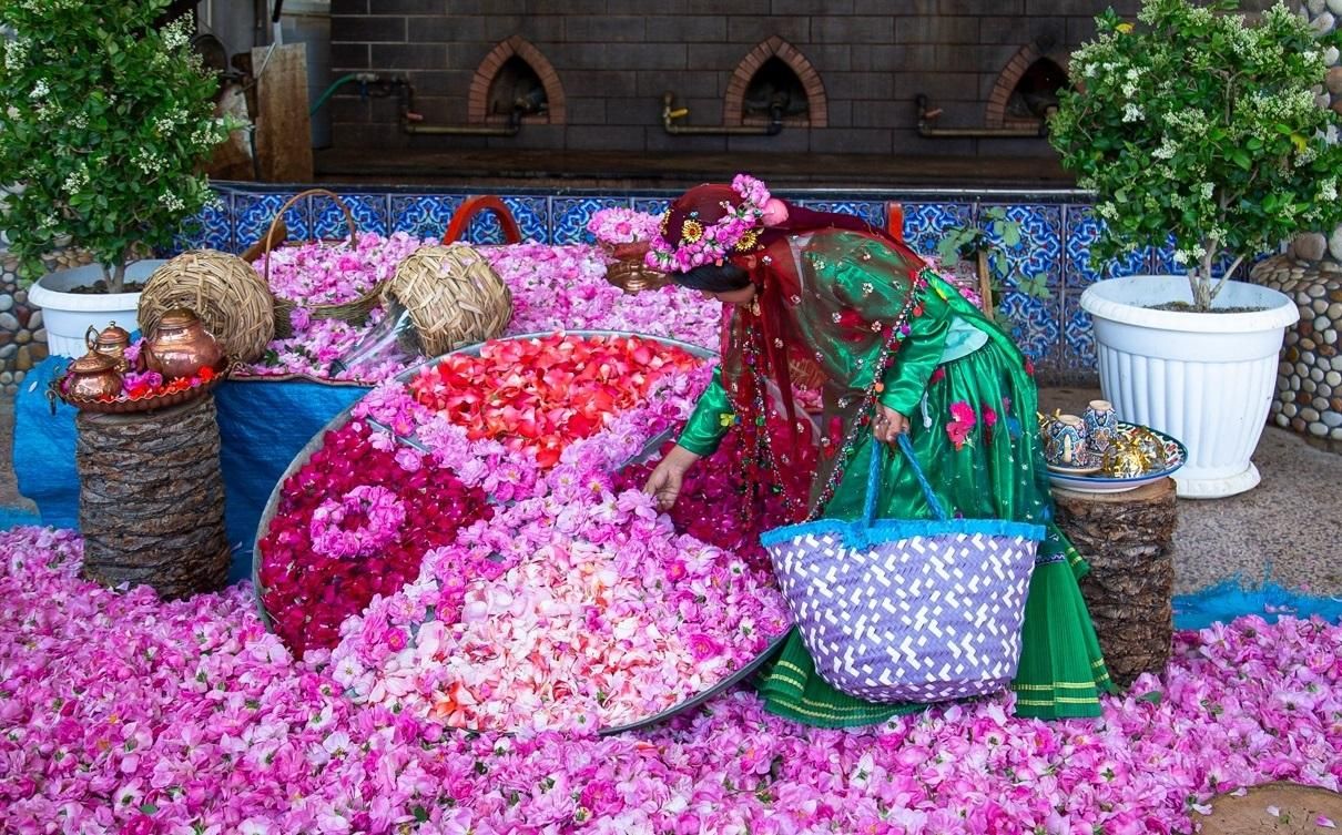 تور جشنواره گل و گلاب میمند|تور و چارتر|شیراز, فرهنگ شهر|دیوار