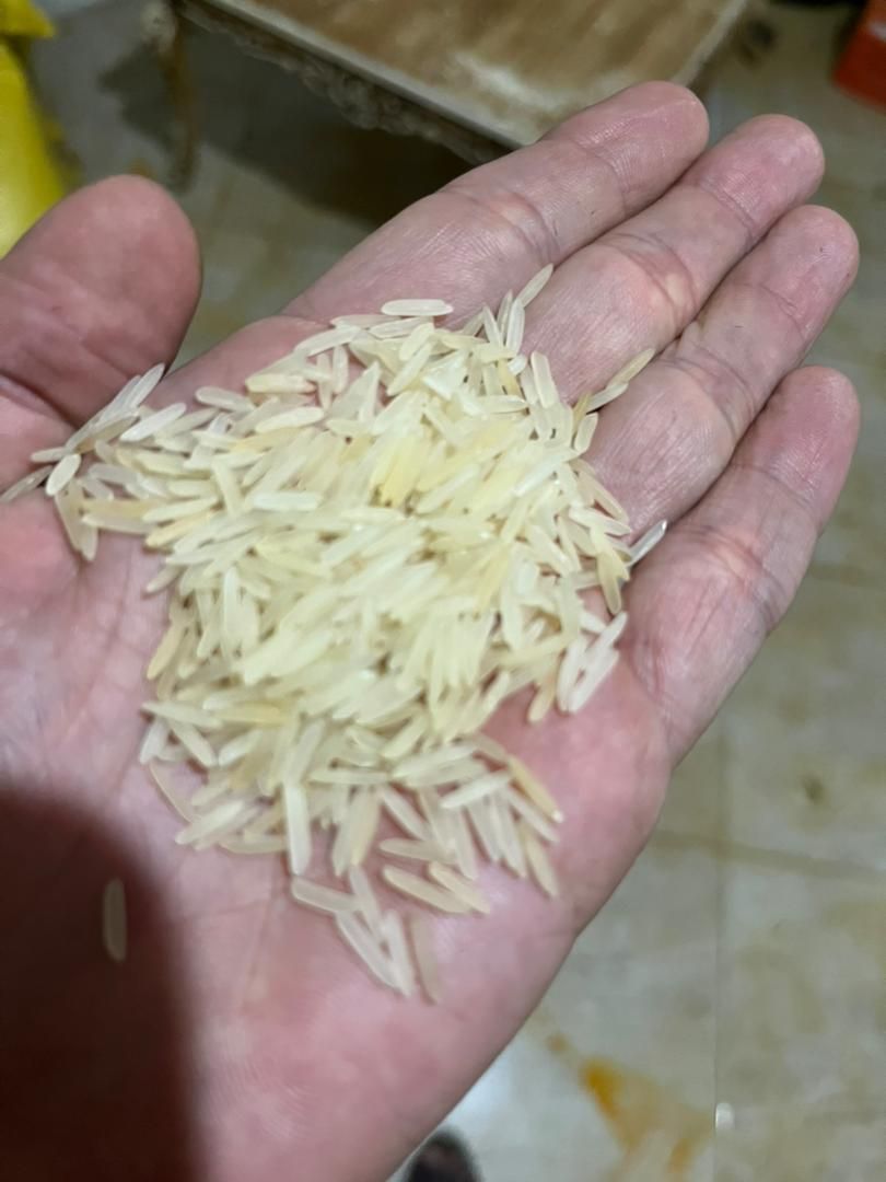 برنج هندی دانه بلند|خوردنی و آشامیدنی|تهران, اتابک|دیوار