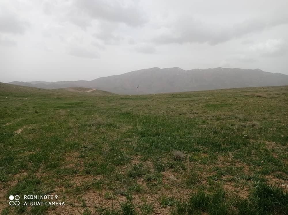 ۱۰۰۰ متر زمین محدوه سد نمرود دشت چزکین|فروش زمین و ملک کلنگی|تهران, دانشگاه علم و صنعت|دیوار