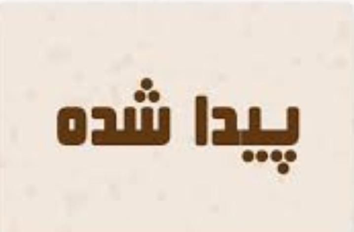 یک گوشی موبایل پیدا شده|اشیا|ایلام, |دیوار