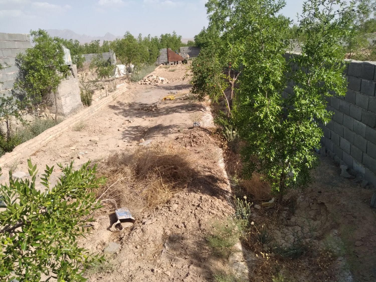 تصویر 10