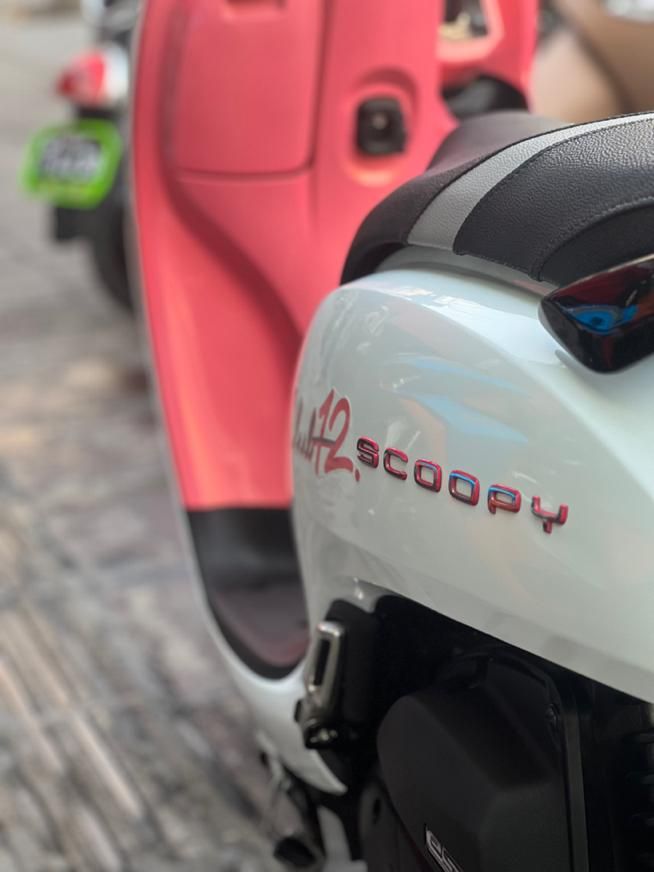 Honda scoopy clup12 limited|موتورسیکلت|تهران, بریانک|دیوار