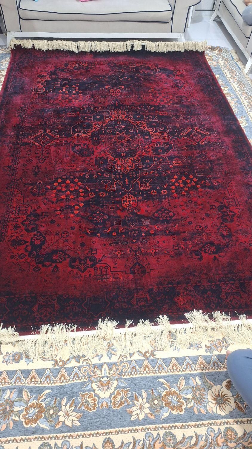 سلام فرش ۶متری ماشینی نودانه ای ۸ تمن|فرش|گرگان, |دیوار