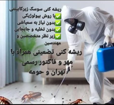 شرکت سمپاشی تهران با مجوز رسمی دانشگاه شهید بهشتی|خدمات نظافت|تهران, دانشگاه تهران|دیوار