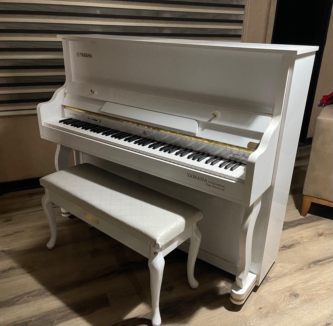 Piano spk|پیانو، کیبورد، آکاردئون|تهران, پونک|دیوار