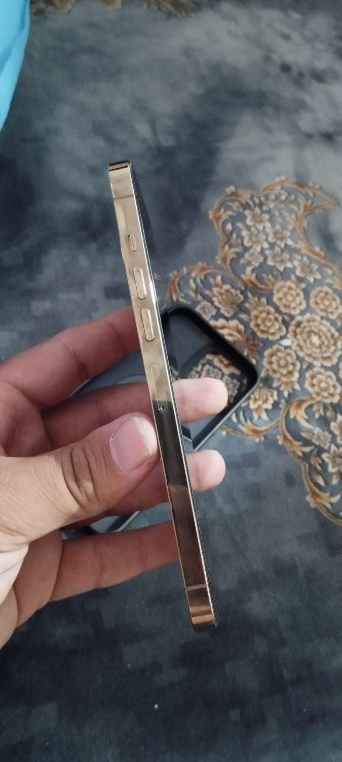 آیفون 13 پرو مکس 1TB گلد، سلامت کامل|موبایل|تهران, افسریه|دیوار