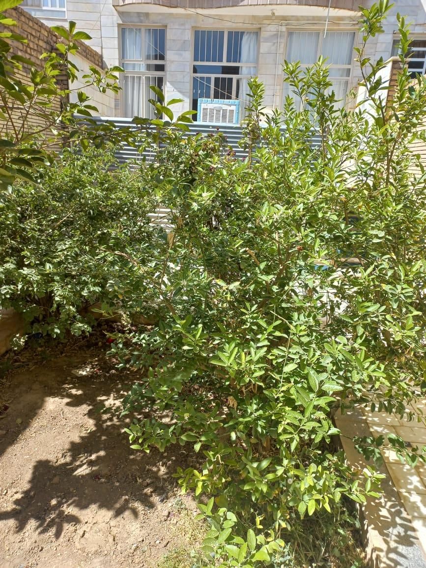 اجاره|اجارهٔ آپارتمان|اردکان, |دیوار