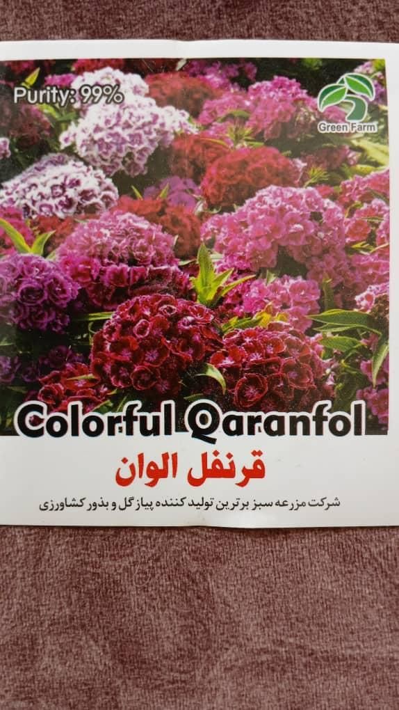 طراح گرافیست مسلط و با تجربه|استخدام هنری و رسانه|تهران, بهارستان|دیوار