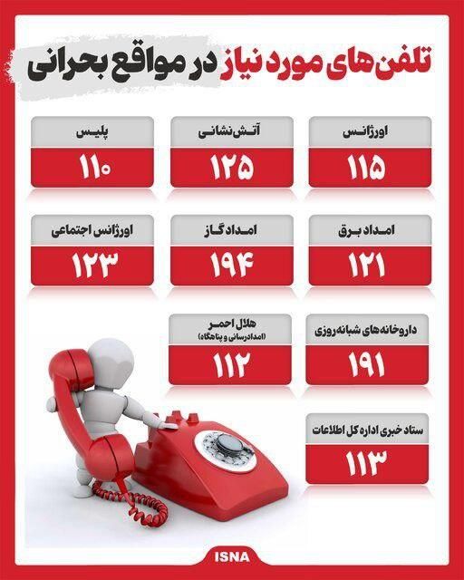 عروس هلندی پیدا شده|حیوانات|جیرفت, |دیوار