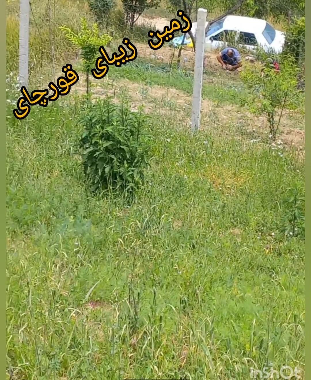 فروش زمین درروستای خوش آب وهوا|فروش زمین و ملک کلنگی|رامیان, |دیوار