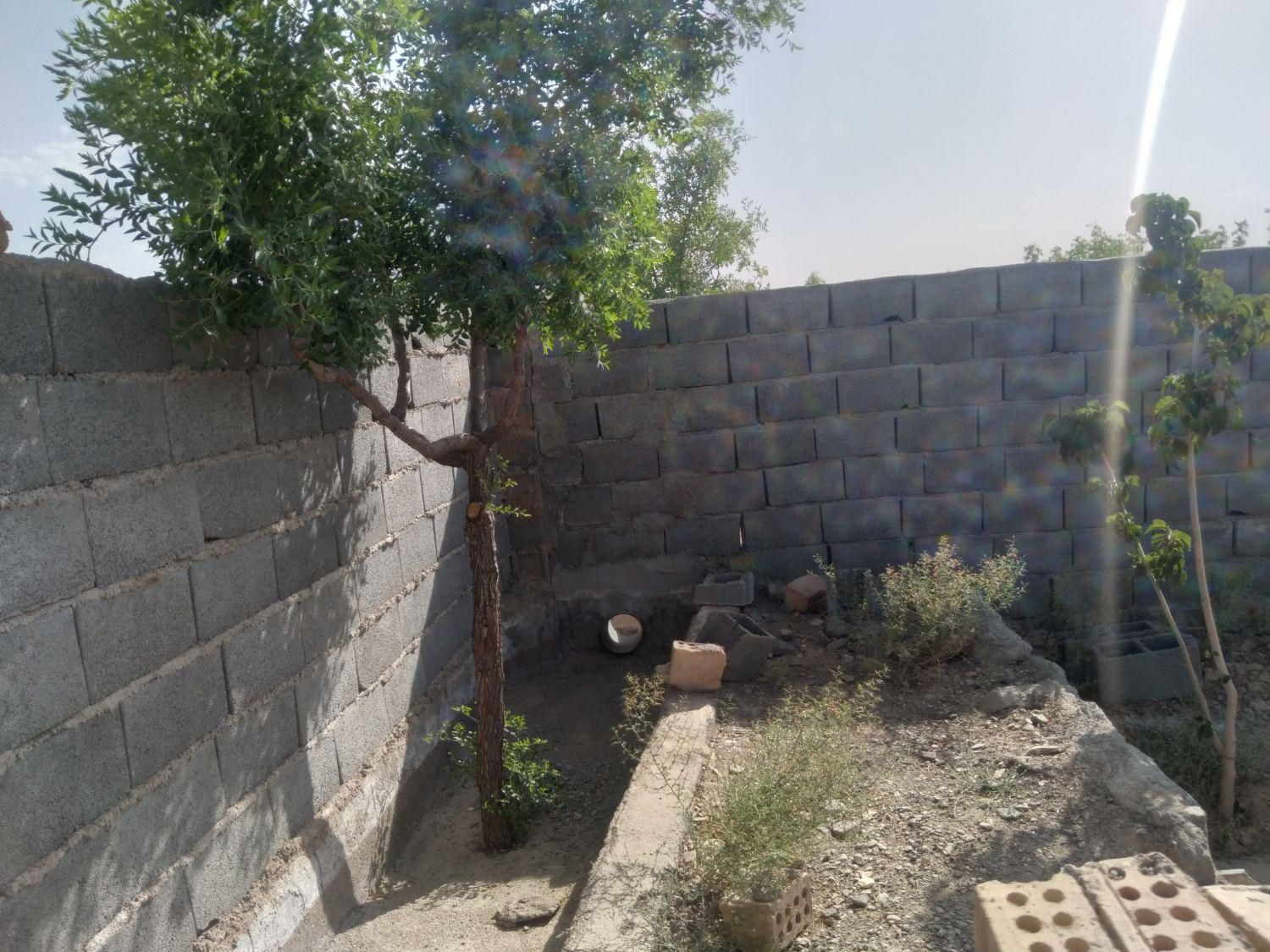تصویر 13
