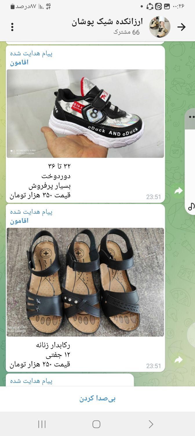 کفش و صندل و راحتی|کیف، کفش، کمربند|تهران, استخر|دیوار