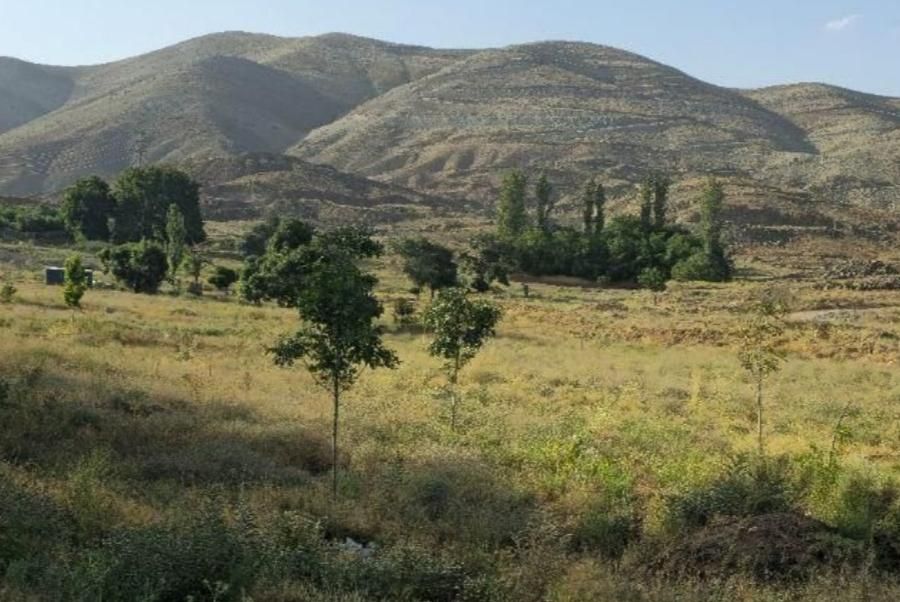 تهران شهر پردیس با متراژ ۲۲۰ متر کاربری باغ ویلا|فروش زمین و ملک کلنگی|تهران, شاهد|دیوار