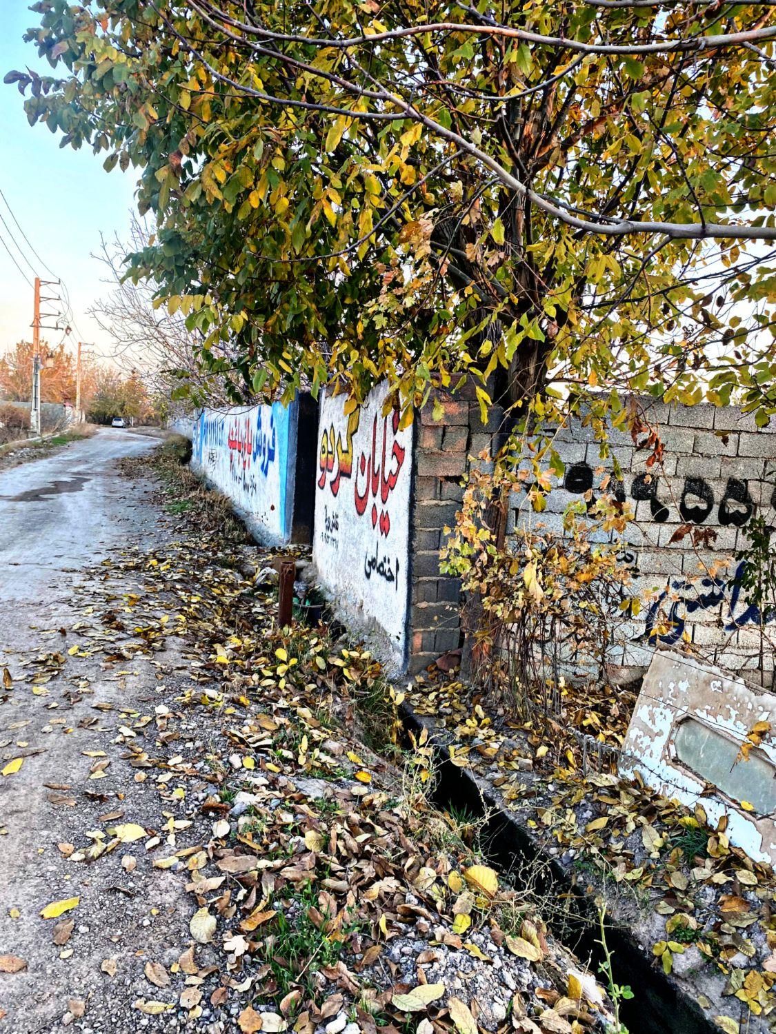 باغچه جدول بندی شده*۳۲۲ متر،بدون بهره|فروش زمین و ملک کلنگی|تهران, عبدل‌آباد|دیوار