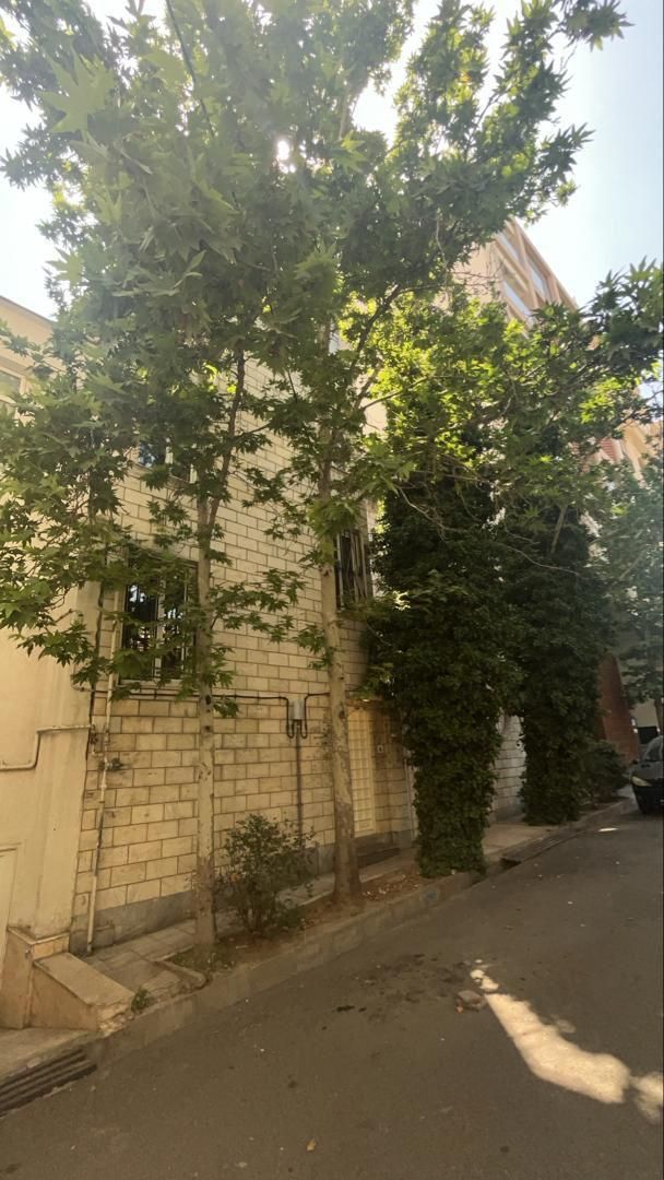 کلنگی اجودانیه ۴۳۰ متر (جنوبی بر ۱۴)|فروش زمین و ملک کلنگی|تهران, آجودانیه|دیوار