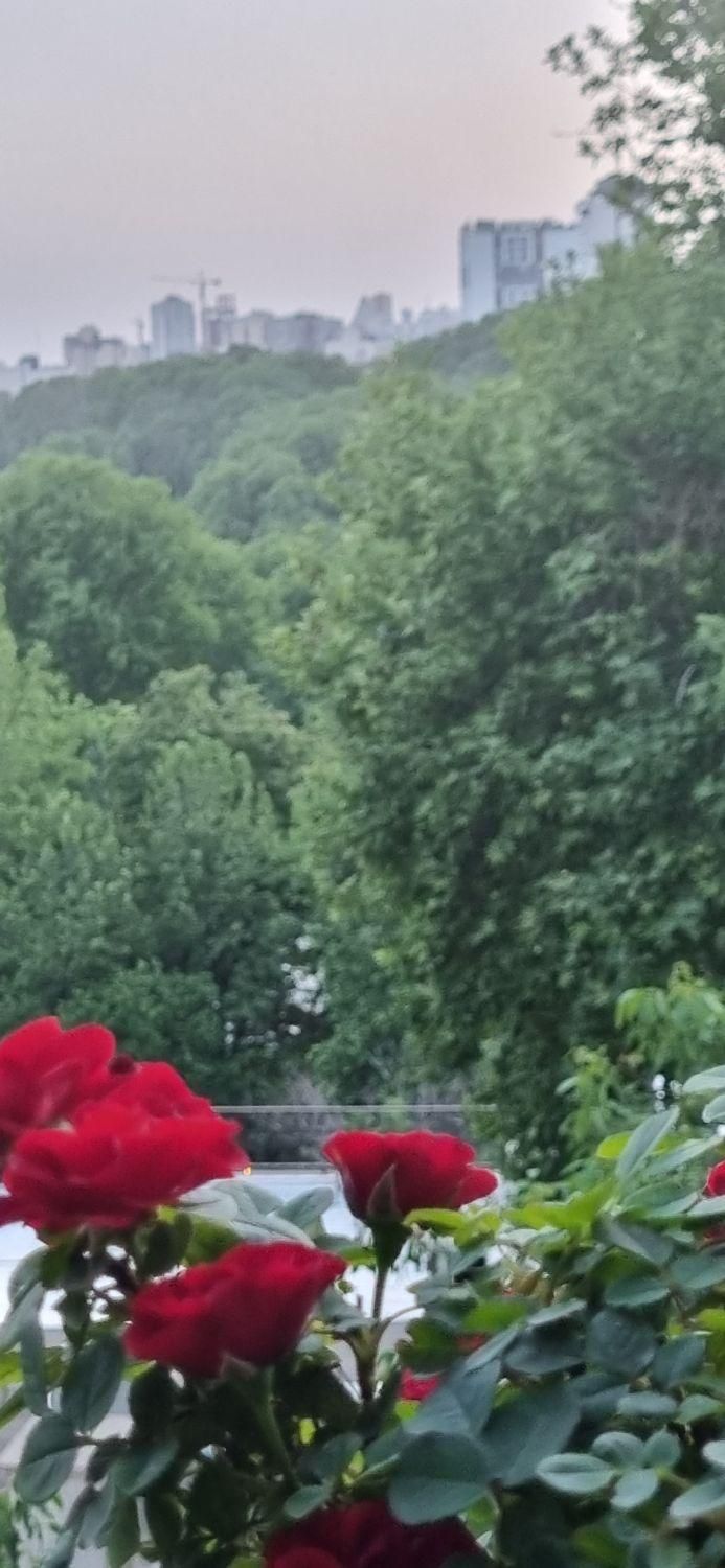 کلنگی گلابدره ۴۵۰ متر بر ۳۰ سند تک|فروش زمین و ملک کلنگی|تهران, گلاب دره|دیوار