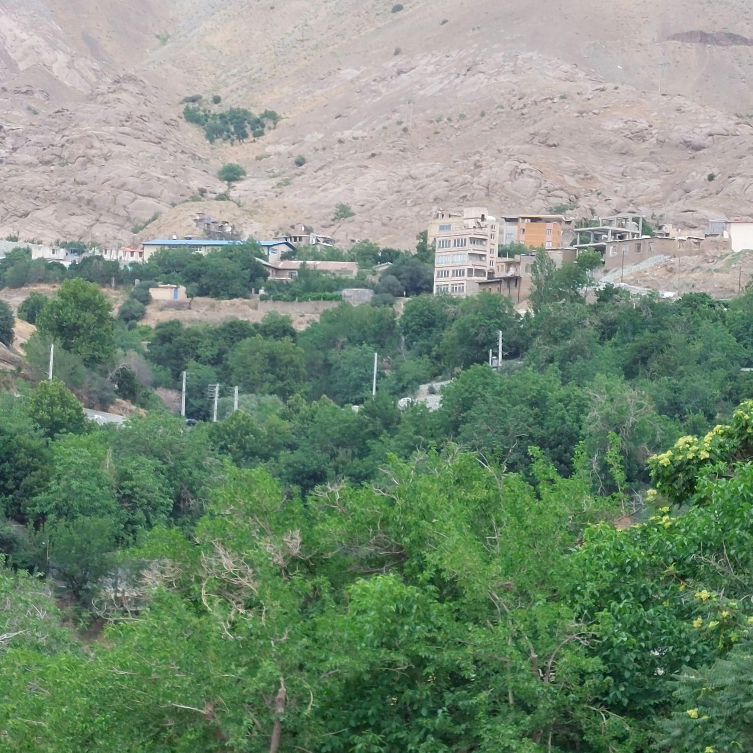 فروش باغچه۷۴۰ متری در وردیج|فروش دفتر صنعتی، کشاورزی، تجاری|تهران, سرو آزاد|دیوار