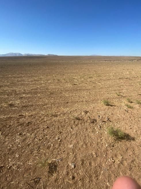 مجوز مرغداری تخم گذار(۱۵۳ هزارتایی) به همراه زمین|فروش دفتر صنعتی، کشاورزی، تجاری|تهران, اسکندری|دیوار