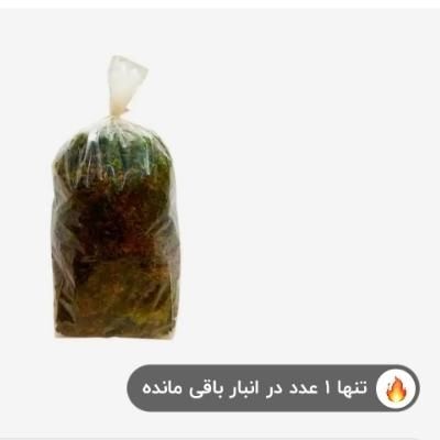 خزه گلدان مدل اسفاگنوم وزن یک کیلو گرم|گل و گیاه طبیعی|تهران, باغ فیض|دیوار