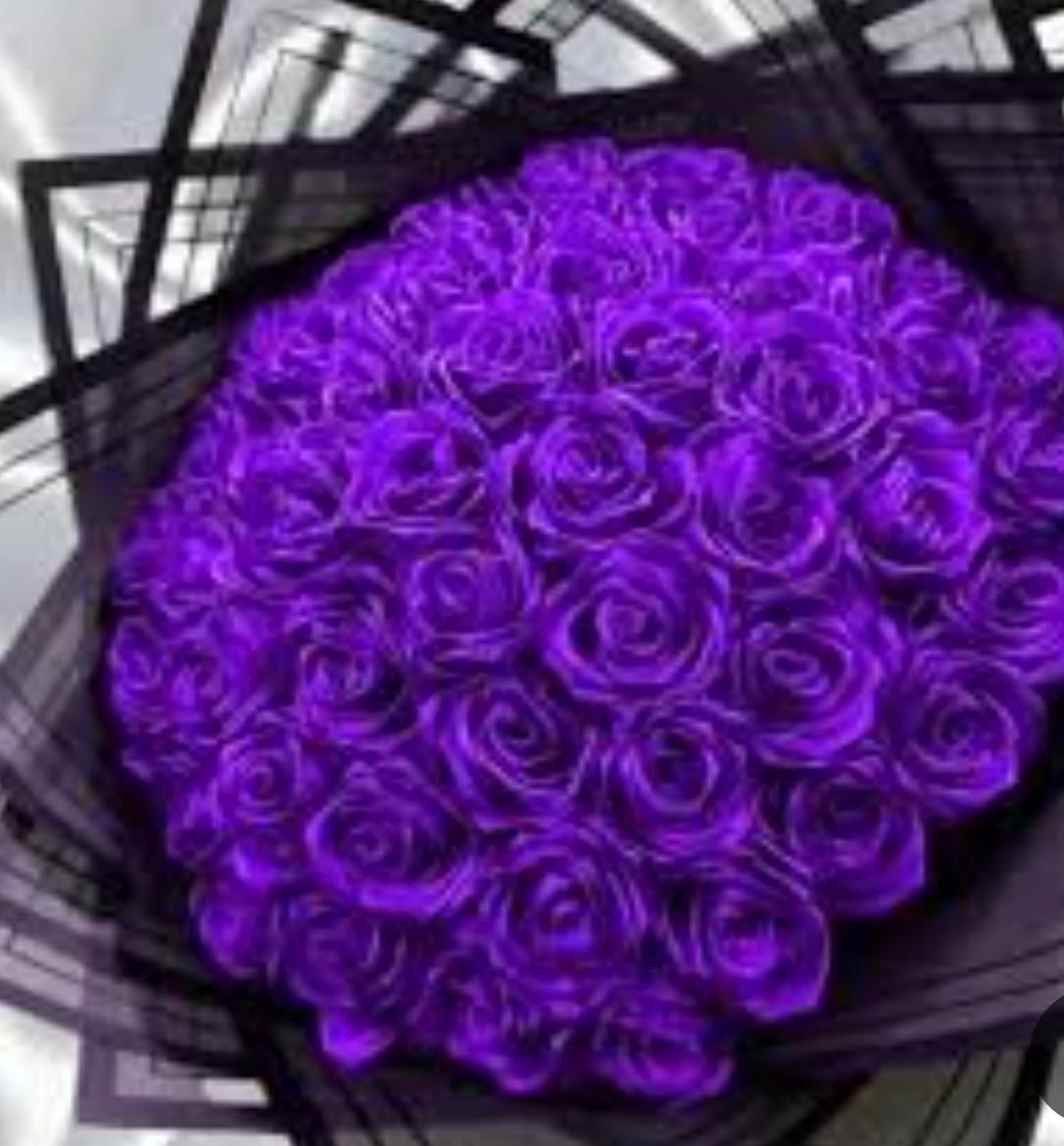 چت جواب گوه هستم|گل مصنوعی|کرمان, |دیوار