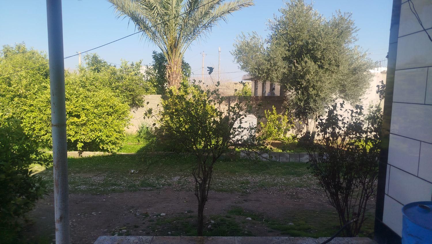 اجاره روزانه/هفتگی/ماهانه منزل ویلایی ۱۰۰ متری|اجارهٔ کوتاه‌مدت آپارتمان و سوئیت|مسجد سلیمان, |دیوار