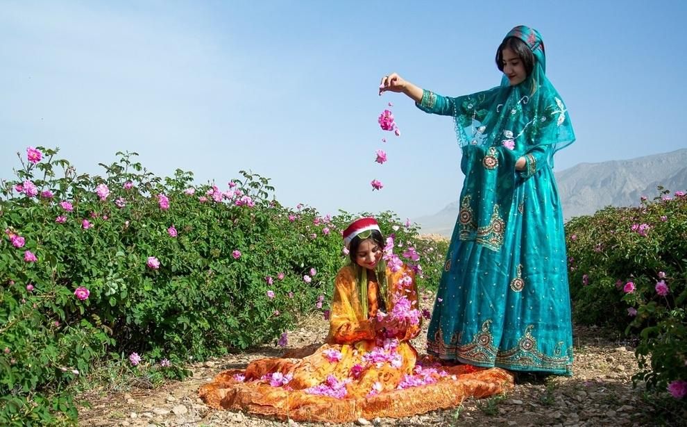 تور جشنواره گل و گلاب میمند|تور و چارتر|شیراز, فرهنگ شهر|دیوار