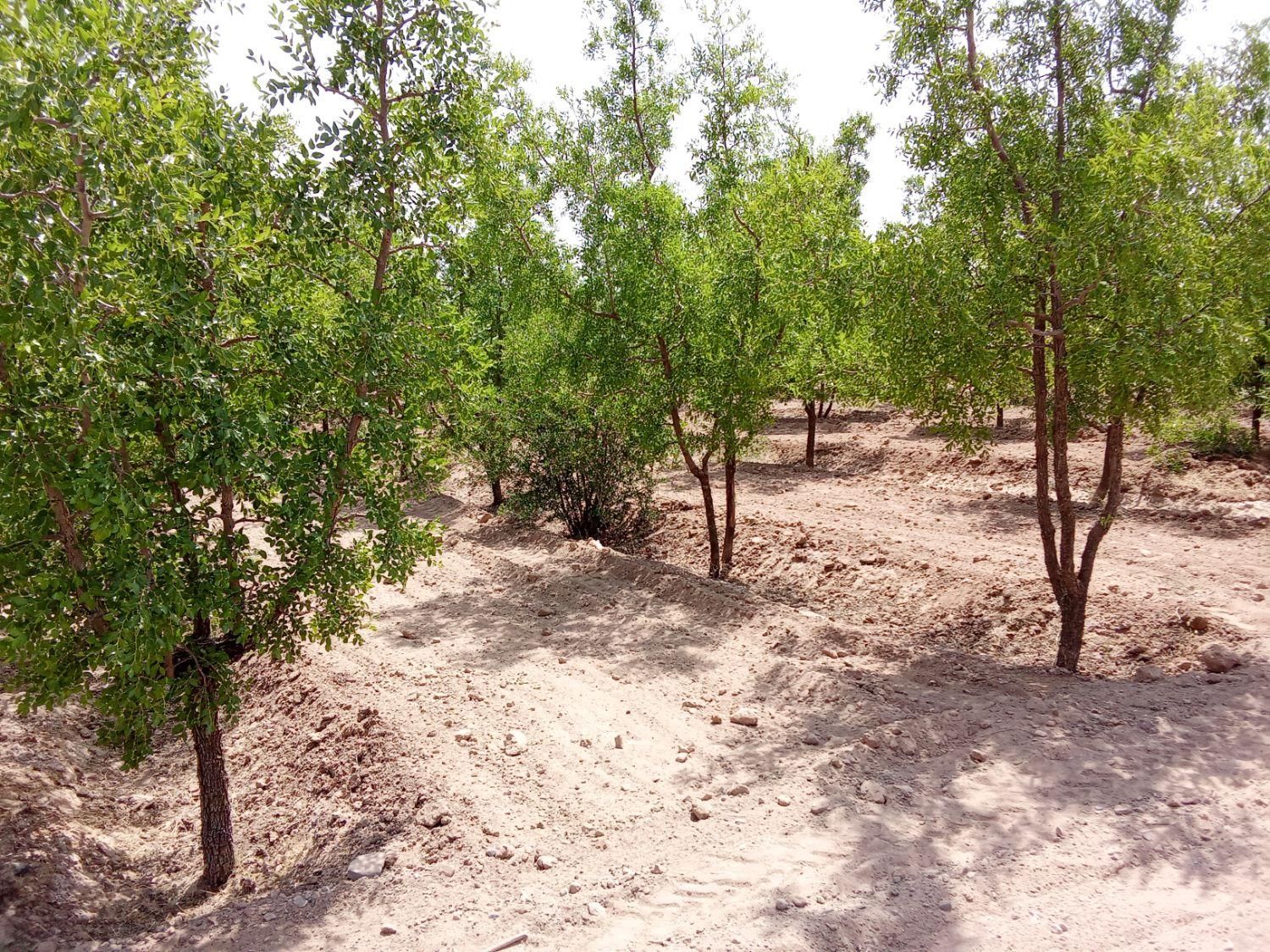 تصویر 9