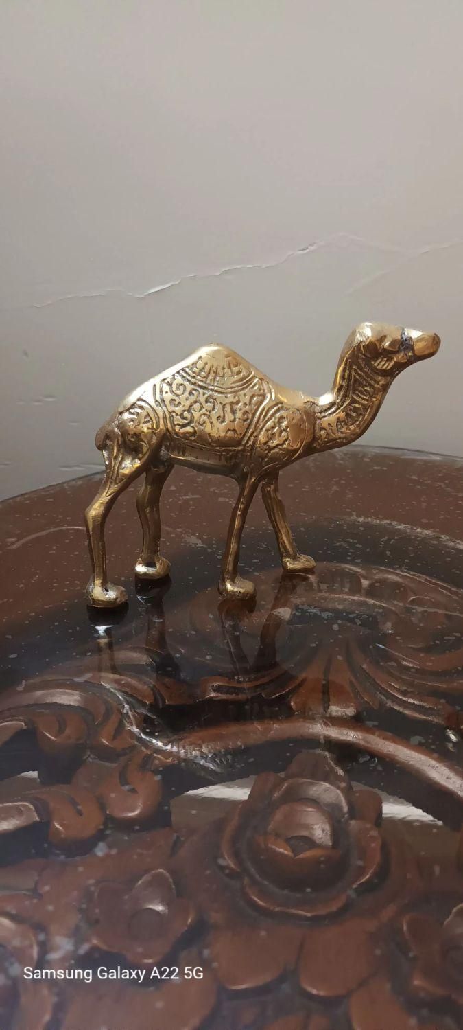 شتر برنجی|مجسمه، تندیس، ماکت|تهران, خلیج فارس|دیوار