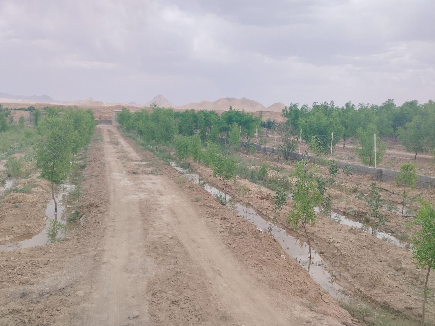 تصویر 2