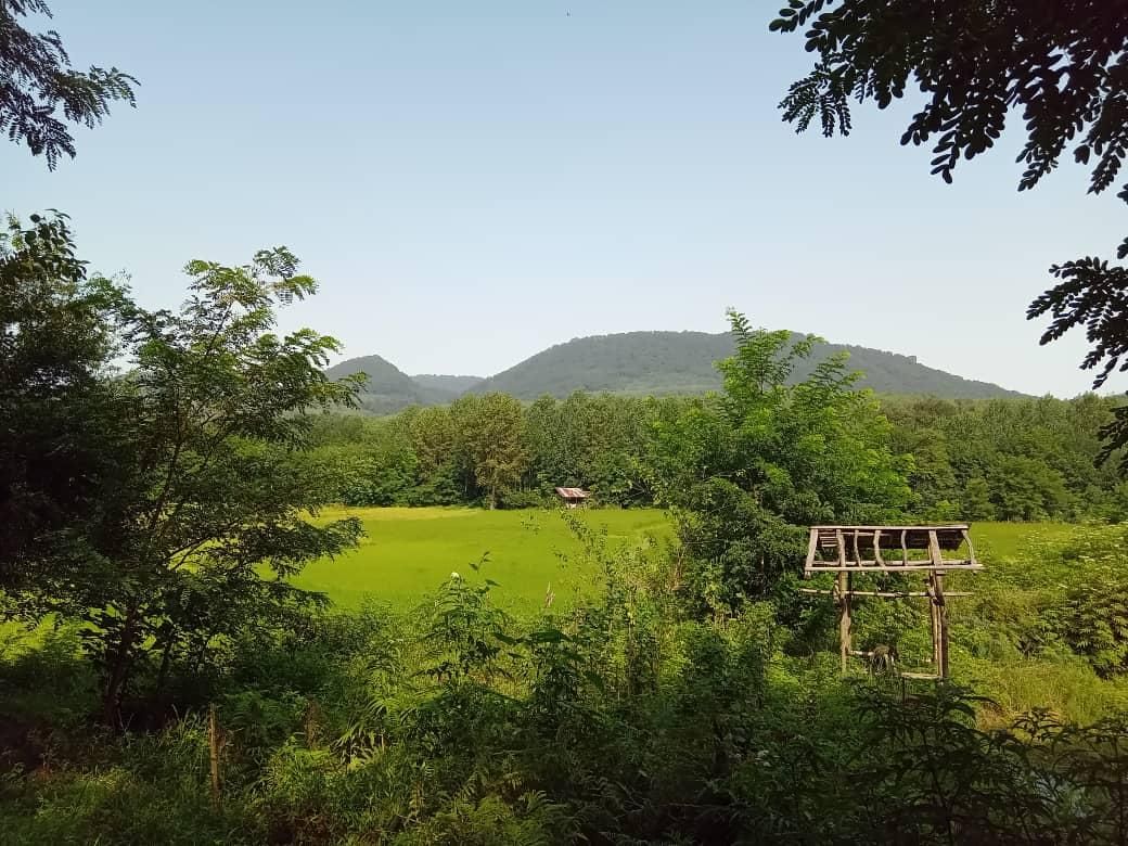 فروش ۳۶۵۵زمین مسکونی گیلان روستای توریستی کچا|فروش زمین و ملک کلنگی|تهران, امین حضور|دیوار