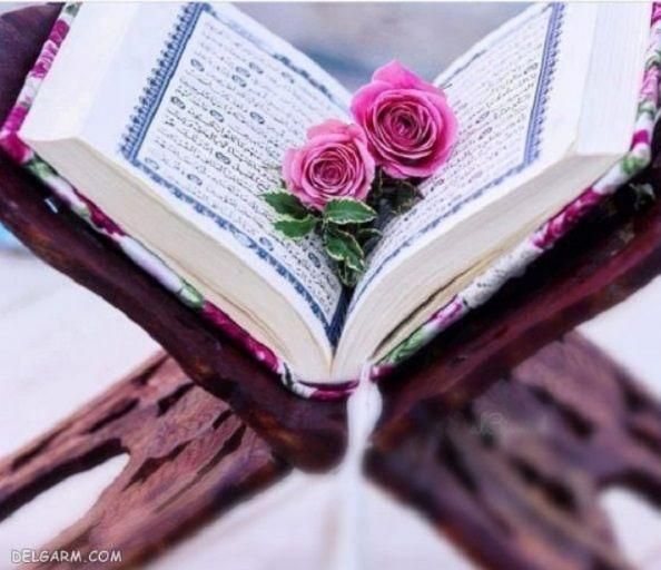 ختم قرآن و نماز و روزه وصلوات برای اموات|فعالیت داوطلبانه|تهران, پونک|دیوار